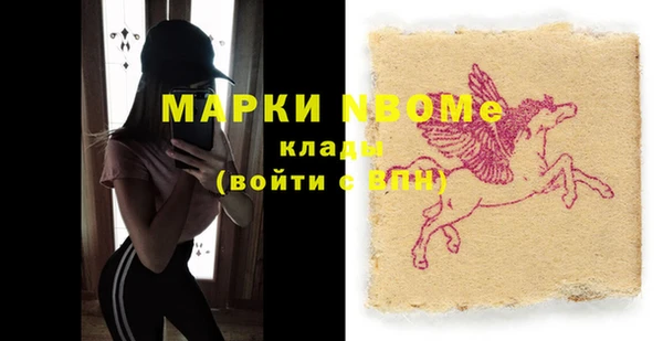 стафф Алзамай