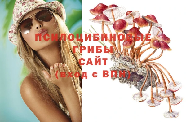 МДПВ Алексин