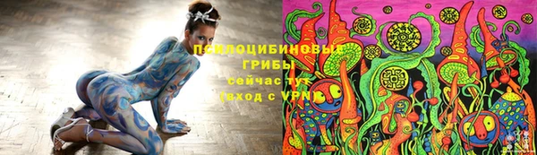 стафф Алзамай