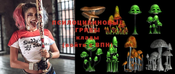стафф Алзамай
