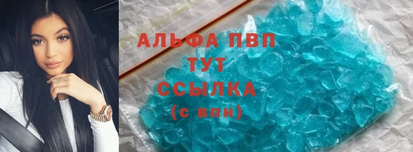 стафф Алзамай