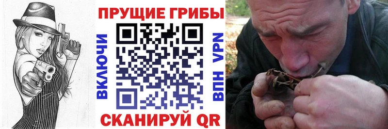 Галлюциногенные грибы ЛСД Зуевка