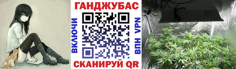 ОМГ ОМГ ссылки  Зуевка  Бошки Шишки VHQ 